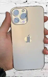 13 pro max