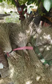 جارو دستی