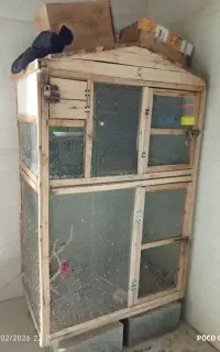 قفس بزرگ