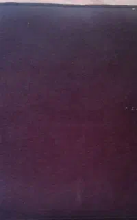 موس پد نو بزرگ