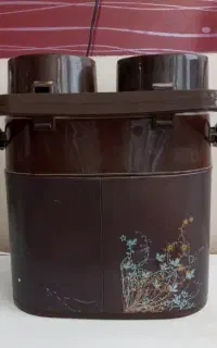 فلاکس دو قلو