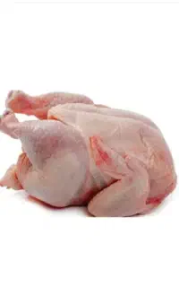 پروتئین توصیه شده ی طب سنتی