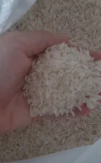 برنج هاشمی درجه یک