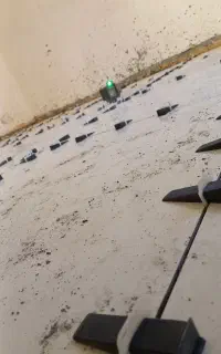 کاشی کار کاشیکاری ساخت مان