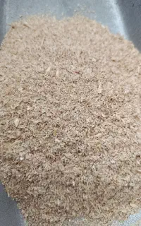 سبوس گندم