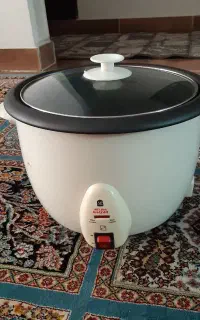 پلوپز