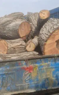 برش چوب