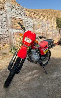 تریل پیشرو xl
