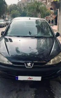۲۰۶ اس دی