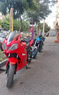 دایلیم ۲۵۰ ریس سنگین