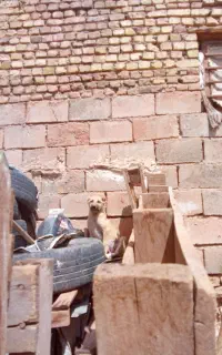 فروش