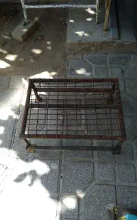 باربیکیو