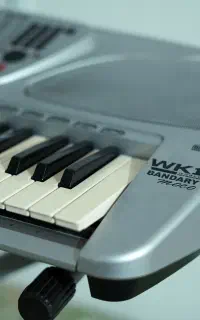 کیبورد - ارگ - GEM WK1