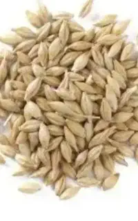 جو خارجی  (زیر قیمت بازار ۶۳ ت)