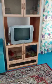 تلویزیون