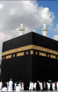 فیش تمتع به سال
