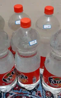 گلاب