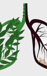 ترک اعتیاد اصولی و محرمانه