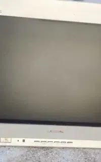 تلوزیون
