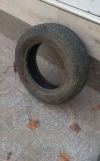 تایر پژویی