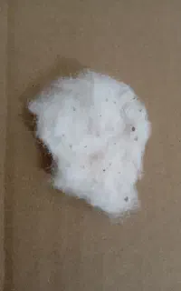 فروش پنبه دست دوم