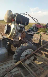 تیلر زنی زعفران