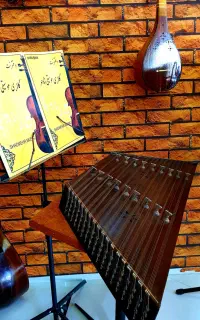 سنتور  چوب گردو   با 40 درصد تخفیف