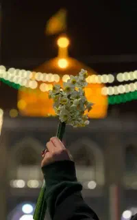 تور مشهد،  رزرو فوری با اقساط