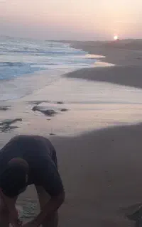 شنا