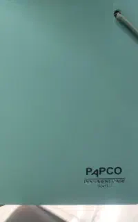 پوشه کش دار پاپکو