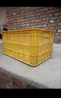 سبد۲۰کیلویی