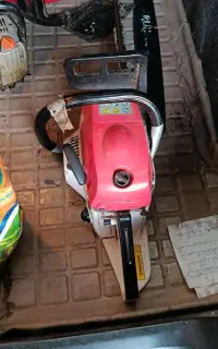 قط درخت وهرس کاری