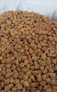نخود قرمز