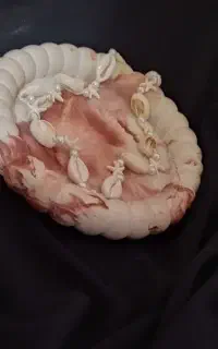 گردنبند ستاره و صدف