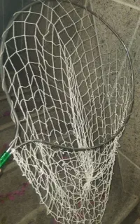 مایل به معاوضه نیستم