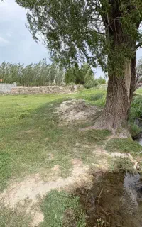 زمین مناسب سرمایه گذاری و آینده دار