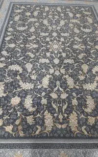 نگار افشان طوسی