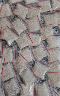 پودر شپش