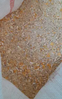 ذرت برزیلی