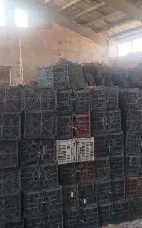فروش سبدهای پلاستیکی