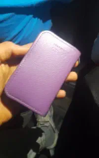 پیدا شده