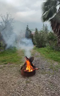 مربی ، مشاور و راهنمایی طبعیت گردی و سفر بقا