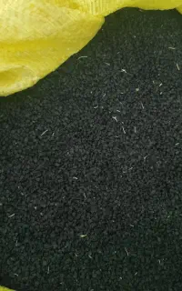 بذر مینروا دستگیری درجه 1از قوطی