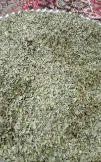 آویشن
