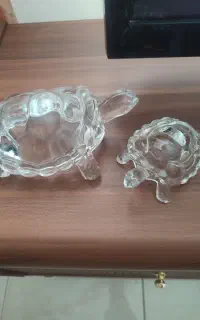 لاکپشت