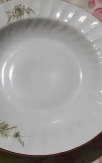 دیس استیل نگیر اصلی