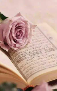 محیطی صمیمی برای حفظ قرآن