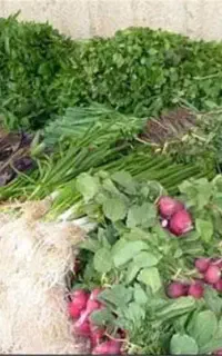 به یک نفربه خانم جهت فروشندگی