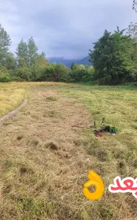 خدمات علف تراشی