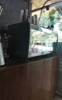 به یک فروشنده در دریاچه زریبار نیازمندم